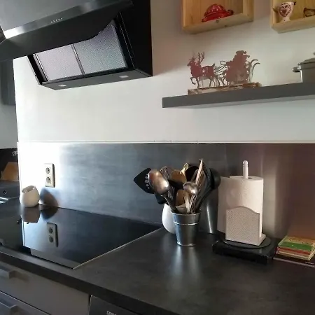 Centre 5 Pers Parking Appartement *